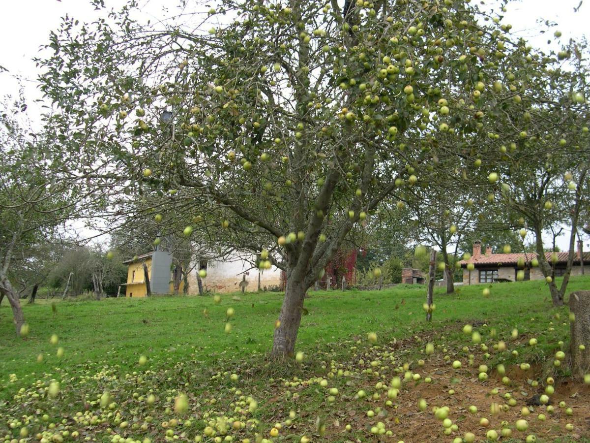 Penzion Turismo Rural El Sidron Piloña Exteriér fotografie