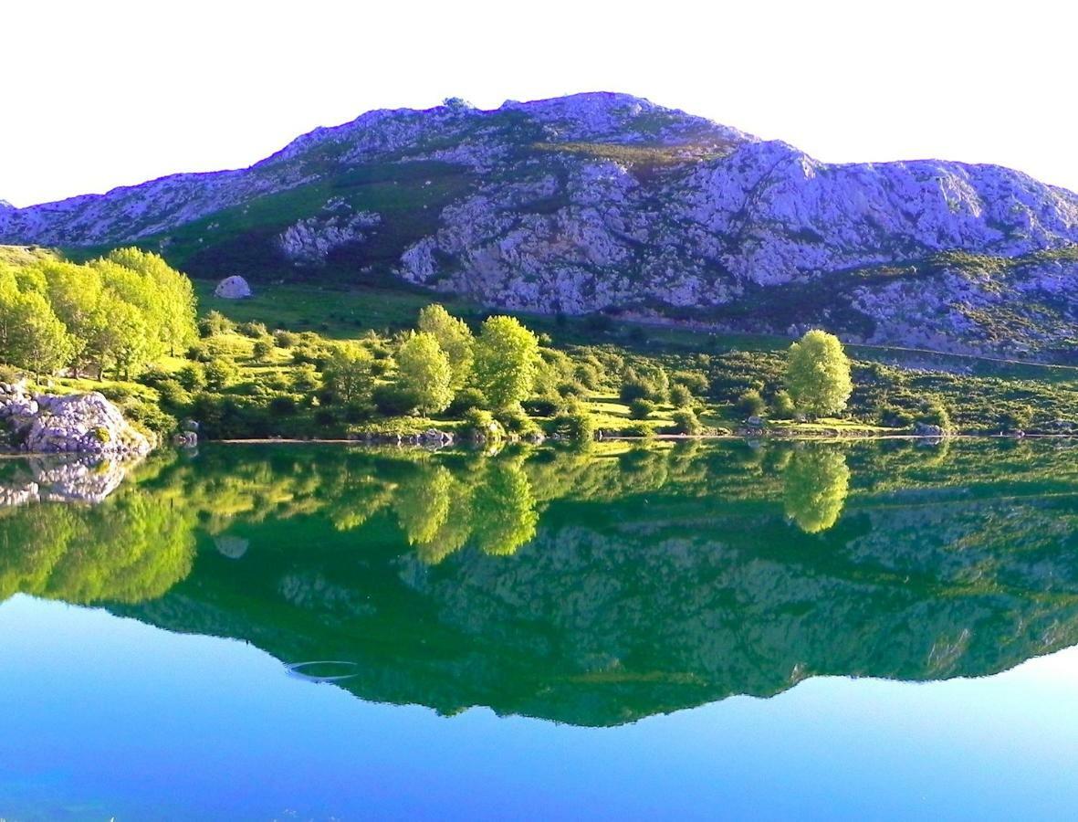 Penzion Turismo Rural El Sidron Piloña Exteriér fotografie